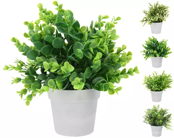 Tekokasvi 24cm - Tekokasvit ja tekokukat - 8719202119152 - 1