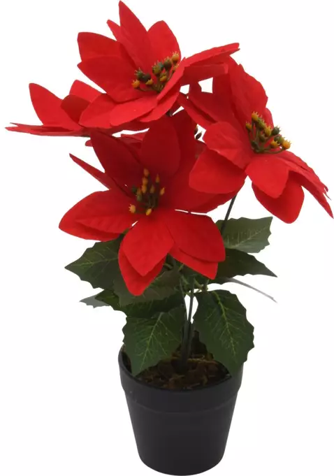 Joulukukka Ruukussa 29 cm - Joulukoristeet ja -tekstiilit - 8721037198172 - 1