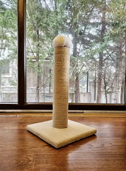 Kissan Raapimispuu 60 cm, MDF, Kermanvärinen - Tyylikäs ja Kestävä Huonekaluratkaisu Lemmikkisi Viihdyttämiseen - Kiipeilypuut ja raapimatolpat - 8683742109983 - 2