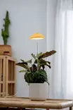 Kasvivalo Iris 5W-835 240lm USB keltainen - Lattia- ja pöytävalaisimet - 6435200292643 - 3