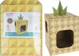 Kissan koti Ananas - Kissan pedit - 8720573199773 - 1