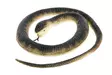 Pelotink=C3=A4=C3=A4rme 105 cm - Muut puutarhatarvikkeet - 6410411270413 - 2