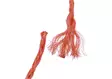 Polyeteenik=C3=B6ysi Piippo 6mm x 50m-3 - Köydet ja narut - 6408586500633 - 3