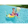 Uimalelu hylje Bestway 157x114 cm - Vesilelut - 6941607312223 - 4