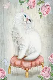 Kylpyhuonematto Setti 2-osainen, Monivärinen, 100% Polyesteri, 40x60 cm ja 60x100 cm, Konepestävä, Liukumaton - Kylpyhuonematot ja kosteantilan matot - 8684283195473 - 3