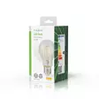 LED Filamenttilamppu E27 | A60 | 8 W | 1055 lm | 2700 | Lämmin Valkoinen | Retrotyylinen | 1 kpl - Lamput ja loisteputket - 5412810400003 - 67