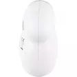 Nukanpoistaja Nord Clean - Silitys - 6410412842183 - 6