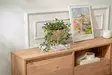 TV-taso, atlantinmänty, 160cm x 42cm x 29,5cm, kestävä, tilava, tyylikäs - TV-tasot - 8684283112043 - 6