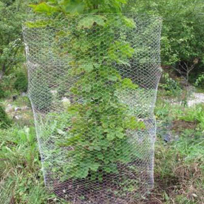 J=C3=A4nisverkko 1,50 x 2,50 m - Hyonteisverkot ja eläinverkot - 6430040621073 - 1