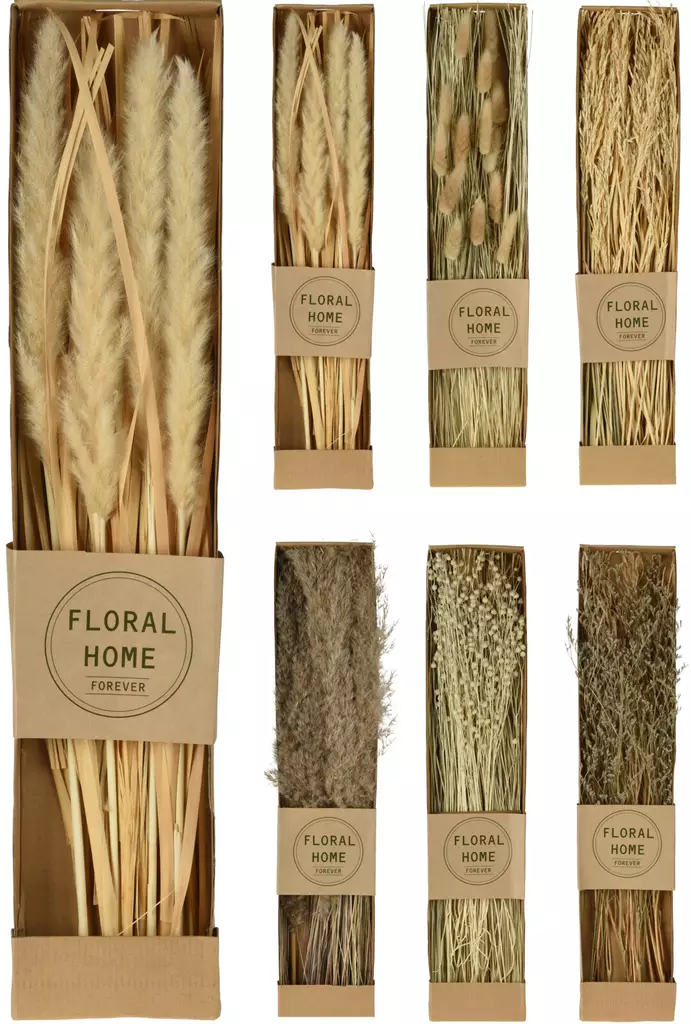 Kuivatut Luonnonoksat Pakkauksessa - Koristeet, koriste-esineet - 8720573290883 - 1