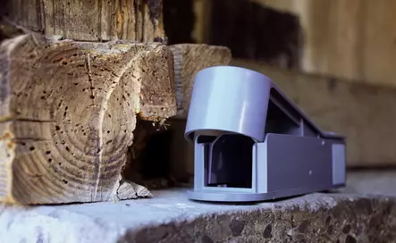 Hiiriansa Super Cat Catch - Jyrsijöiden karkottimet ja loukut - 7640104970804 - 2