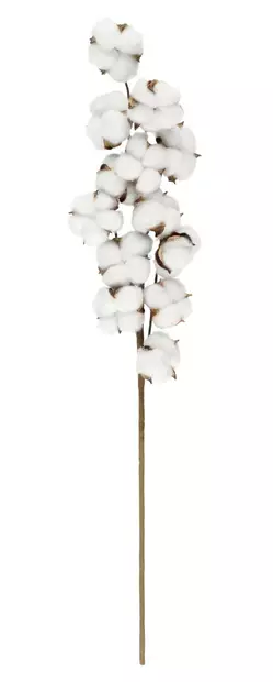 Koristeoksa puuvilla 70 cm 4Living - Sisustus - 6410413191044 - 1