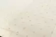100% Puuvillaiset Käsipyyhkeet 2 kpl - Ecru Cream, 510 gr/m², 50x90 cm - Ylellinen Kylpyhuoneen Sisustus - Pyyhkeet ja kylpytakit - 8681181304594 - 3