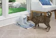 PetSafe Drinkwell Platinum lemmikin juomalähde, valkoinen 5L - Ruoka- ja juoma-astiat - 2NDC-79844 - 3
