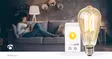 SmartLife LED Filamenttilamppu | Wi-Fi | E27 | 806 lm | 7 W | Lämmin Valkoinen | 1800 - 3000 K | Lasi | Android / IOS | ST64 | 1 kpl - Valonlähteet - 5412810335404 - 90
