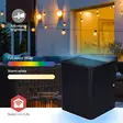 Smartlife Outdoor Light | 2 x 270 lm | Zigbee 3.0 | 12 + 4 W | Lämmin Valkoinen / RGB | 2700 K | Alumiini | Android / IOS - Valaisimet - 5412810444434 - 54