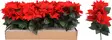 Tekokukkakimppu joulutähti 30 cm – aidonnäköinen punaisten poinsettioiden koriste jouluun - Joulukoristeet ja -tekstiilit - 8721037198424 - 1
