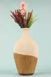 Käsinmaalattu Koristeellinen Keraaminen Ruukku, Ecru, 16 cm x 37 cm - Tyylikäs Sisustuselementti Kotiin - Kukka-amppelit ja maljakot - 8684283592494 - 2
