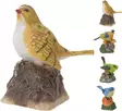 Koristelintu äänellä 11 cm - Koristeet, koriste-esineet - 8718158548054 - 1