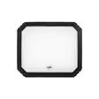 PNI LW10 10W LED-työvalaisin, kannettava, ladattava, 2 x 18650 4000 mAh akulla, 6500K, IP54, 700 lm, 2 kirkkaustasoa - PNI tuotteet - 5949066540714 - 7