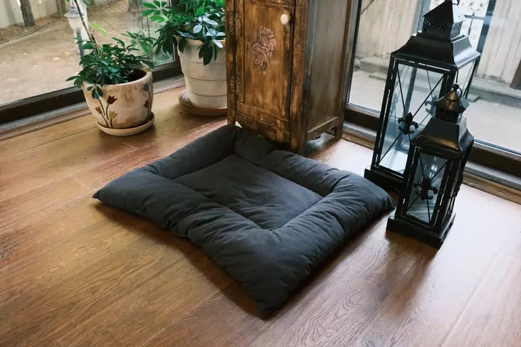Lemmikkisänky Anthracite 100% Kuitu 60x80x7 cm - Tyylikäs ja Mukava Lemmikkieläimille - Helppo Puhdistaa - Kissan pedit - 8683742109884 - 1