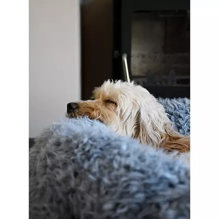 Rosewood Silver Fluff koiranpeti, pehmeä, harmaa - Koiran pedit - 0283080090905 - 1