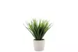 4Living Ruoho betoniruukussa 25 cm - Kukka-amppelit ja maljakot - 6410416030685 - 1