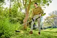 Ruohotrimmeri 36V Ryobi RY36LT33A-0 - Raivaussahat ja trimmerit - 4892210181855 - 6