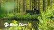 Bear Claw Camonet Vihreä Naamioverkko 1.4 x 6.0m - Metsästystarvikkeet - 6438212005515 - 4
