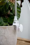 Kasvivalaisin Rose 10W-735 290lm USB - Lattia- ja pöytävalaisimet - 6435200292605 - 3