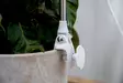 Kasvivalaisin Rose 10W-735 290lm USB - Lattia- ja pöytävalaisimet - 6435200292605 - 5