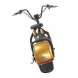 Kruiser Premium Pack Gold 0,9kWh akulla - Kruiserit - 6438431028975 - 3