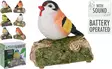 Puutarhapatsas Laulava Lintu 14 cm - Pihakoristeet - 8719202076325 - 1