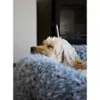 Rosewood Silver Fluff koiranpeti, pehmeä, harmaa - Koiran pedit - 0283080090905 - 1