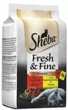 Sheba Fresh & Fine 6 x 50 g h=C3=A4rk=C3=A4=C3=A4 ja kanaa kastikkeess=
a Sivukuva - Märkäruoka - 4770608260545 - 2