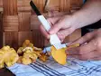 Sieniveitsi Marjukka - Veitset ja sakset - 6410410182205 - 2