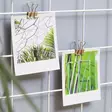 Koristeellinen Metallinen Seinäkoriste, Valkoinen, 100% Metalli, 10 Pientä Salpaa, Koko 50 x 70 x 3 cm - Koristeet, koriste-esineet - 8681875299885 - 4