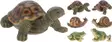 Polystone-eläinfiguuri (kilpikonna, sammakko tai etana) - Kodinhoito ja siivous - 8711295384455 - 1