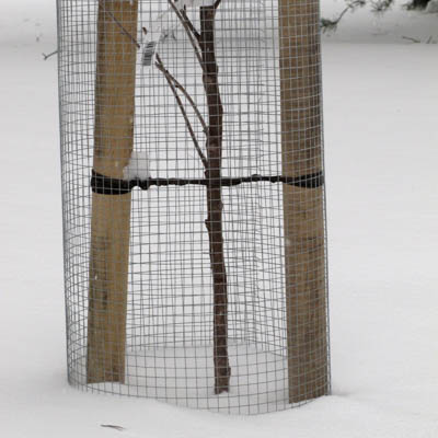 Myyr=C3=A4verkko 1,20 x 250 m galvanoitu - Hyonteisverkot ja eläinverkot - 6430040621035 - 1