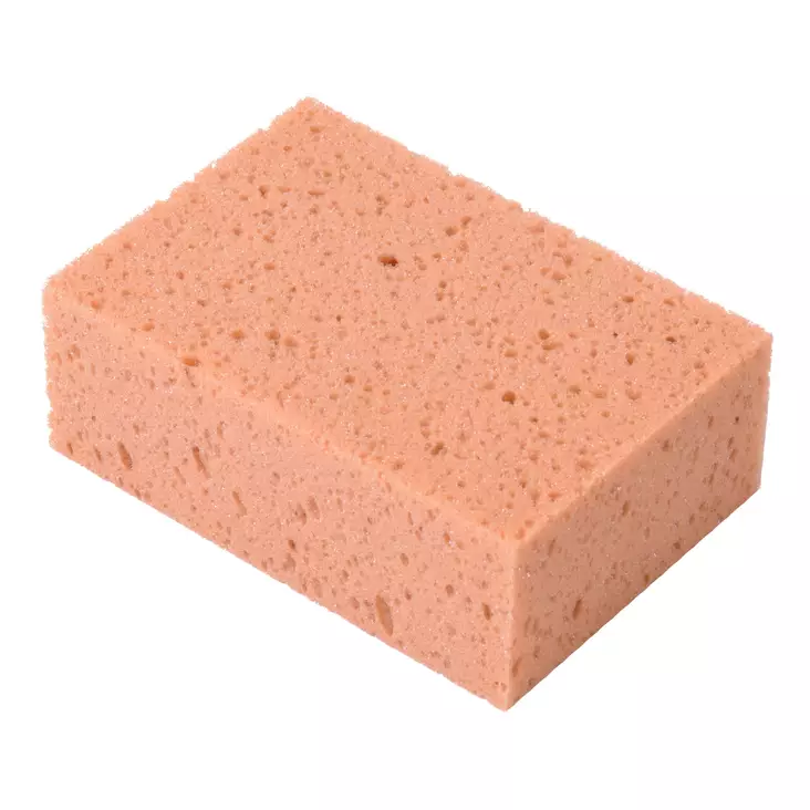 Puhdistussieni - Auton pesutarvikkeet - 644-5149-85 - 1