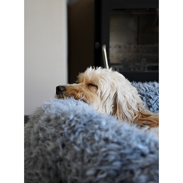 Rosewood Silver Fluff koiranpeti, pehmeä, harmaa - Koiran pedit - 0283080090905 - 1
