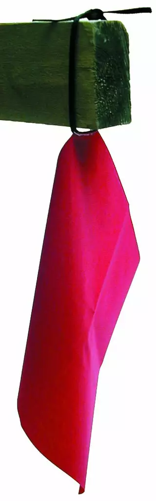 Varoituslippu M+ Punainen - Kuorman sidonta - 6419121120445 - 1