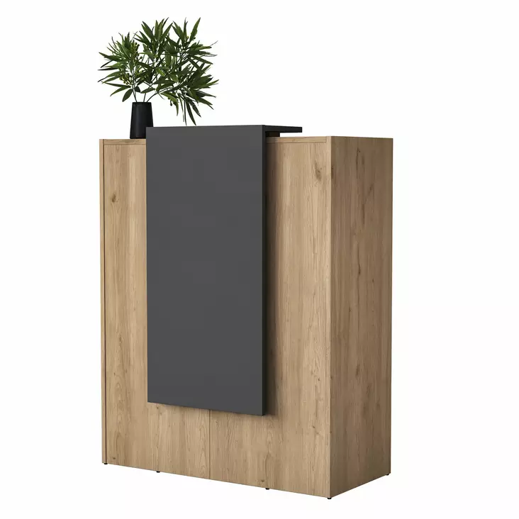 Vastaanottopöytä, 100% Melamiinipinnoitettu E1 Laatu Lastulevy, Pähkinä Antrasiitti, 90x110x40 cm, 2 Pakettia - Pöydät - 8684283720255 - 1