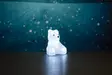 Akryyli Nalle 20LED Finnlumor - Valokoristeet ja valohahmot - 6410413101036 - 4