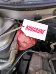 Kunagone villieläinkarkoite - Muut karkottimet ja ansat - 6438014338996 - 5