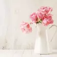 Spraymaali ONE - Spraymaalit - 6412490045876 - 7