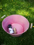 Spraymaali ONE - Spraymaalit - 6412490045876 - 5