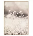 Taulu niitty 50x70 cm 4Living - Taulut ja kehykset - 6410416166216 - 1