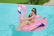 Uimalelu Luxury flamingo 153x143 cm - Vesilelut - 6941607311196 - 13