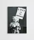 Banksy Koristeellinen Kangastaulu 70x100 cm - Monivärinen, Puukehys, 50% Puuvilla/50% Polyesteri, Digitaalinen Tulostus - Taulut ja kehykset - 8683342478656 - 4